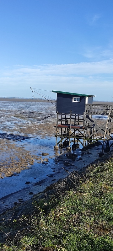 La cabane à Talais, une évasion rustique au cœur de la nature