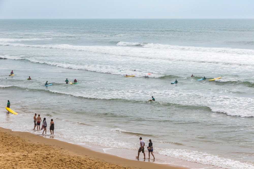 Surf et détente : surfeurs et promeneurs sur la plage Surfeurs débutants et promeneurs sur une plage de sable aux vagues douces sous un ciel voilé.